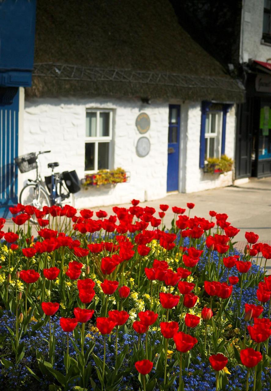 The Redbank Guesthouse Скерріс Екстер'єр фото